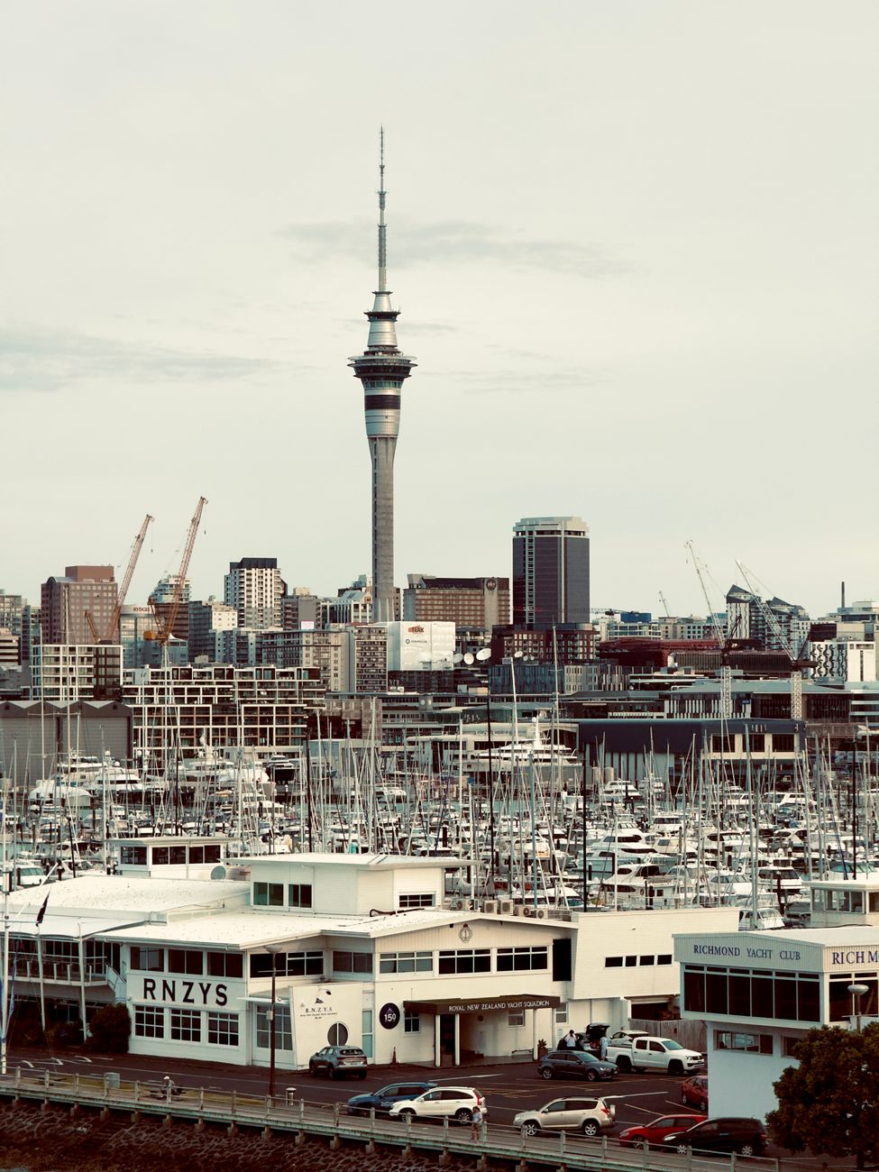 Auckland's harbour with the Sky Tower behind — the topography that defines how the city is navigated.