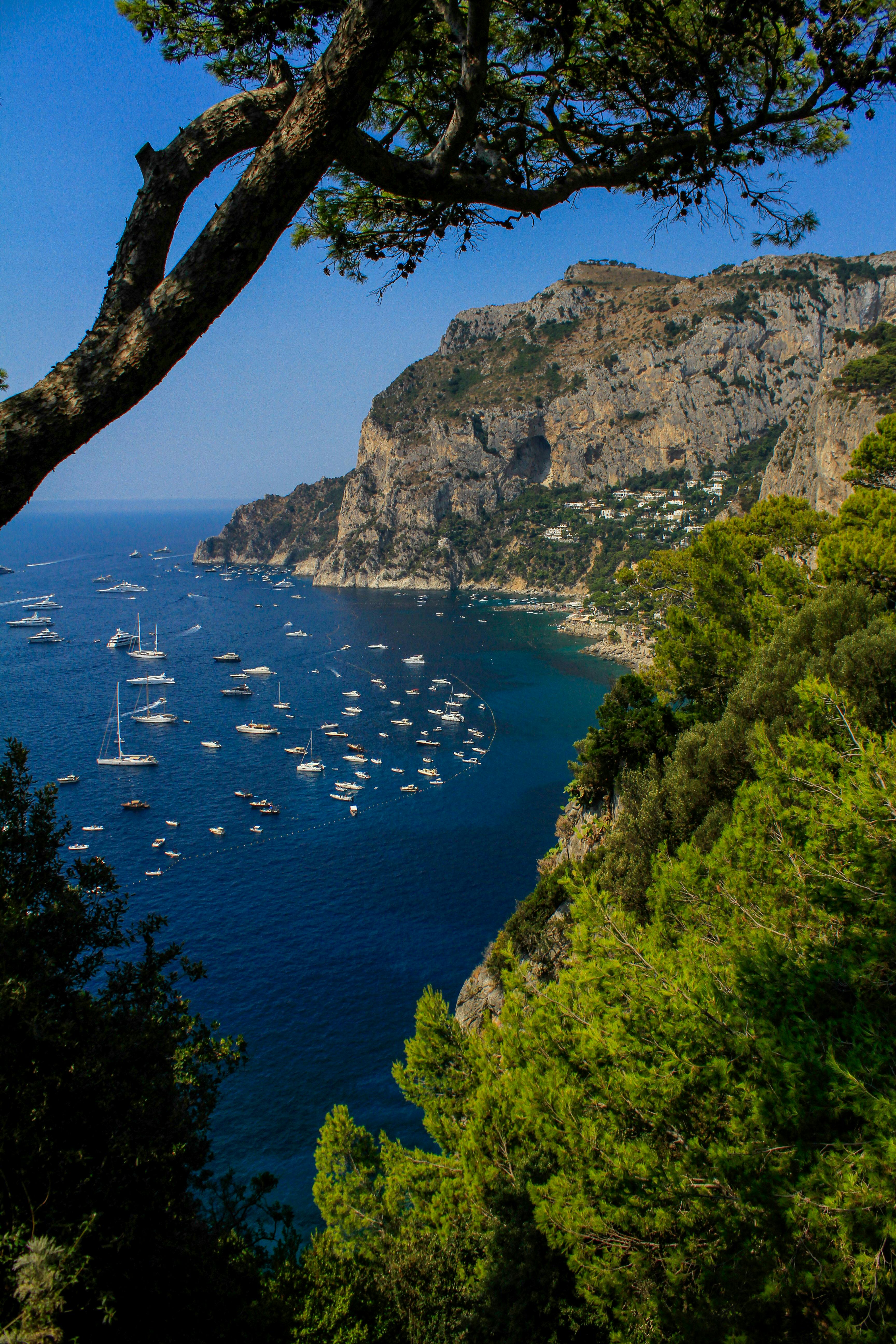 Capri's Marina Piccola with anchored yachts and cliffside greenery — the topography that makes choosing your area decisive.